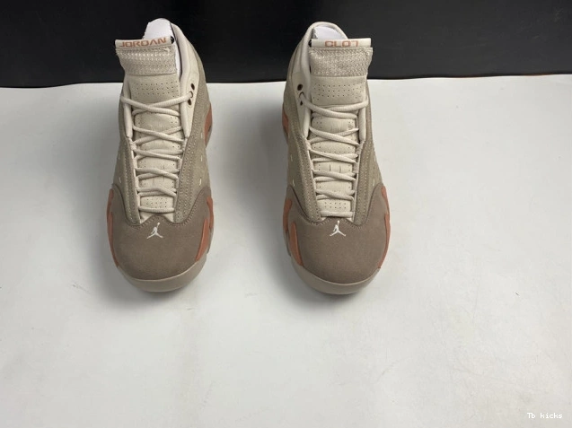 Rep TBK Clot Blush Low Jordan Retro AIR Terra 14 DC9857-200 0731